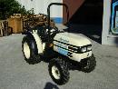 LAMBORGHINI RUNNER 350