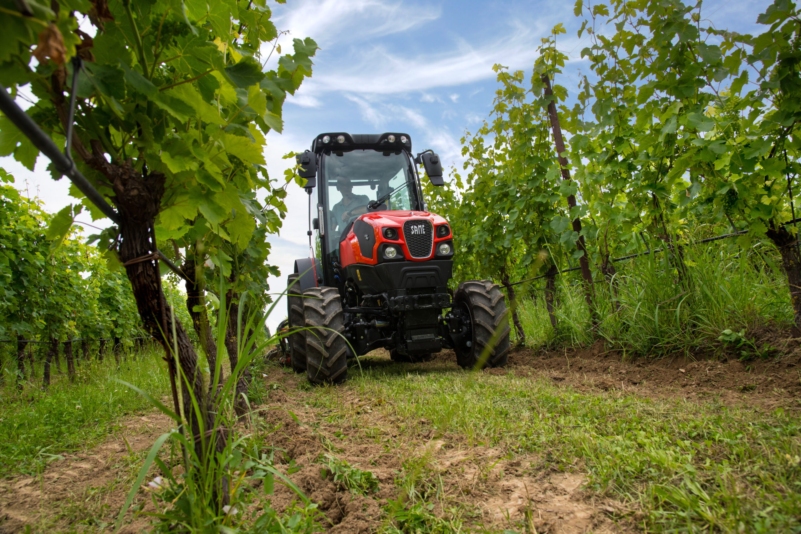 Red SAME compact tractor driving between lush rows of grapevines in a sunny vineyard.